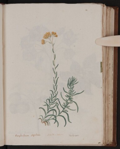 Anteprima dell'oggetto