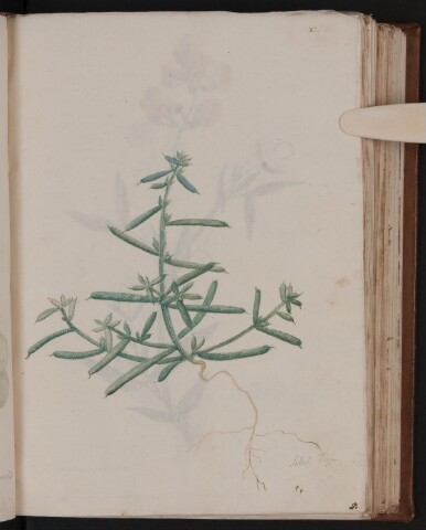 Anteprima dell'oggetto