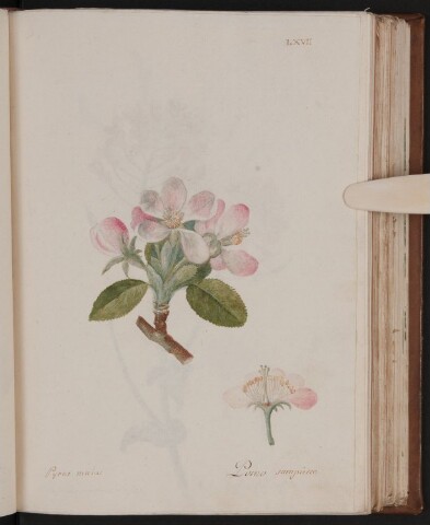 Anteprima dell'oggetto