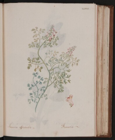 Anteprima dell'oggetto