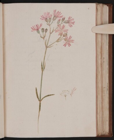 Anteprima dell'oggetto