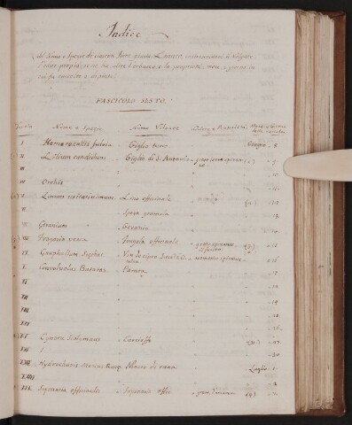 Anteprima dell'oggetto