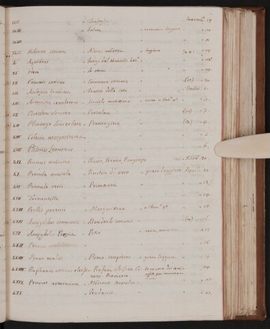 Anteprima dell'oggetto