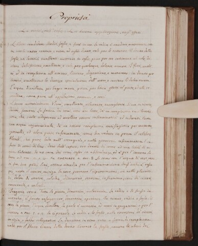 Anteprima dell'oggetto