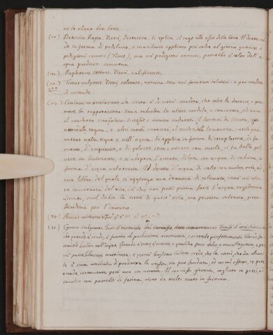 Anteprima dell'oggetto