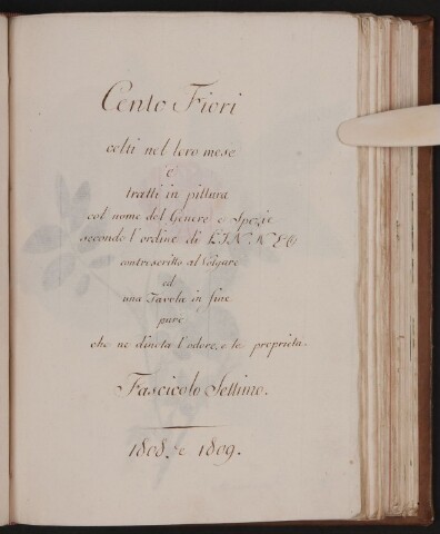 Anteprima dell'oggetto