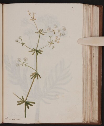 Anteprima dell'oggetto