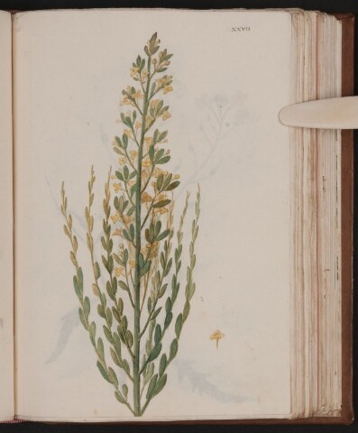 Anteprima dell'oggetto