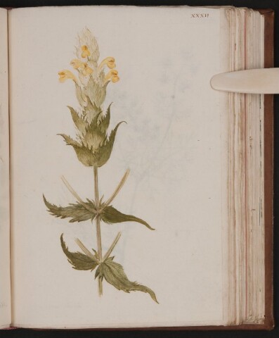 Anteprima dell'oggetto