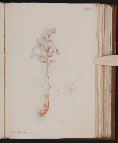 Anteprima dell'oggetto