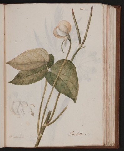 Anteprima dell'oggetto