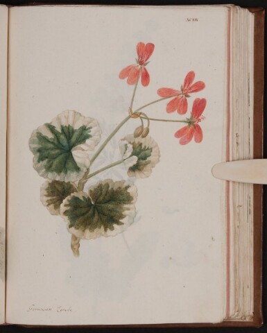 Anteprima dell'oggetto