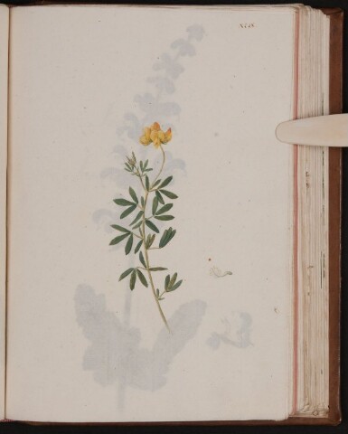 Anteprima dell'oggetto