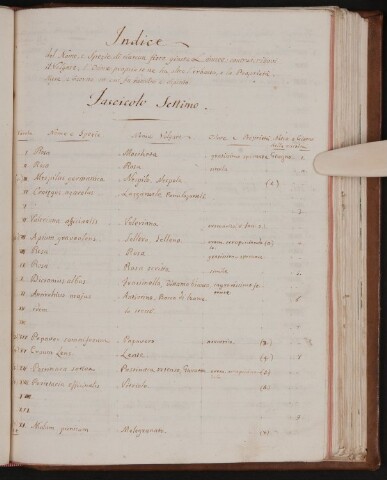 Anteprima dell'oggetto