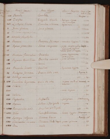 Anteprima dell'oggetto