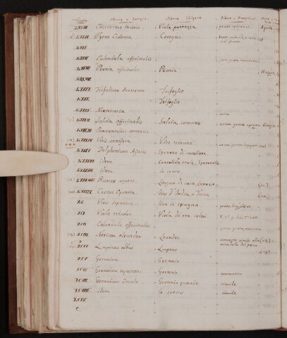 Anteprima dell'oggetto