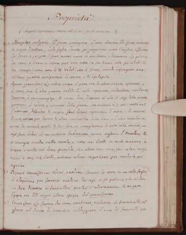 Anteprima dell'oggetto