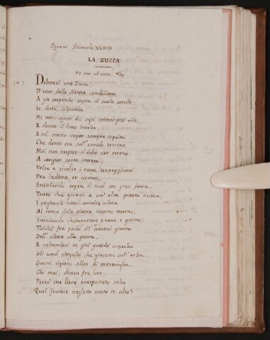 Anteprima dell'oggetto