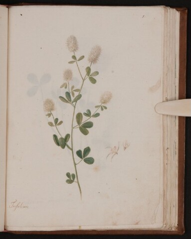 Anteprima dell'oggetto