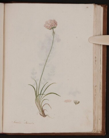 Anteprima dell'oggetto