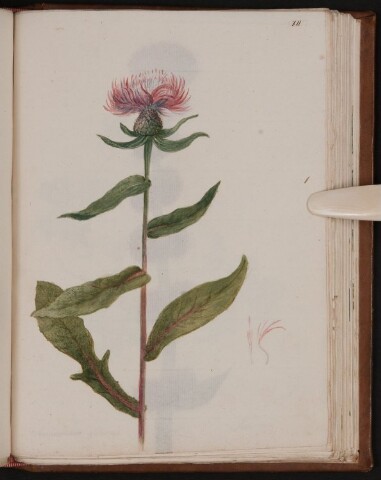 Anteprima dell'oggetto