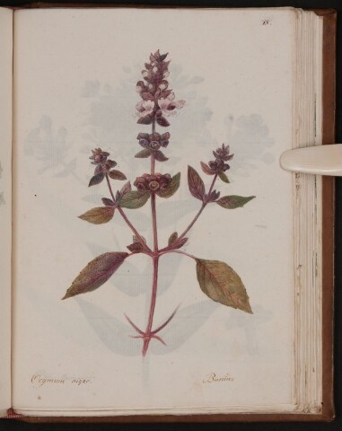 Anteprima dell'oggetto