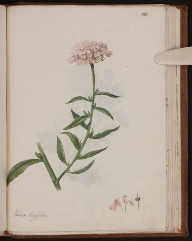 Anteprima dell'oggetto