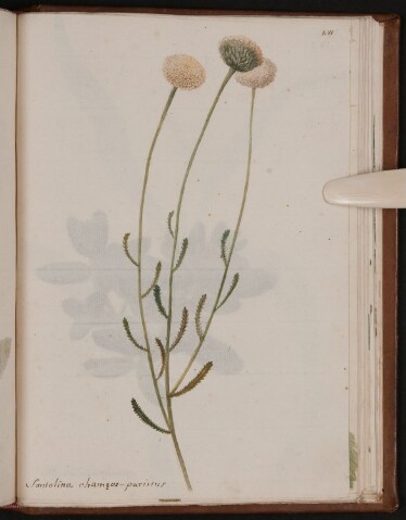 Anteprima dell'oggetto