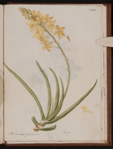 Anteprima dell'oggetto