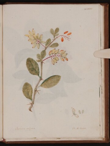 Anteprima dell'oggetto