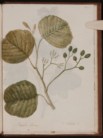 Anteprima dell'oggetto