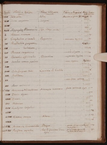 Anteprima dell'oggetto