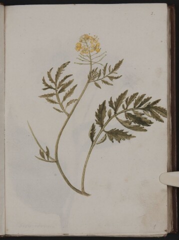 Anteprima dell'oggetto