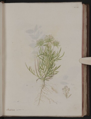 Anteprima dell'oggetto