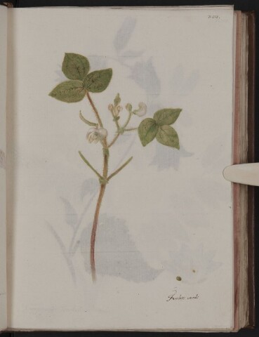 Anteprima dell'oggetto