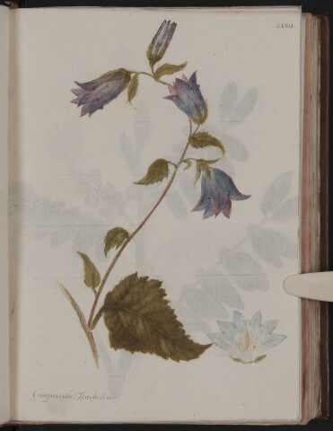 Anteprima dell'oggetto