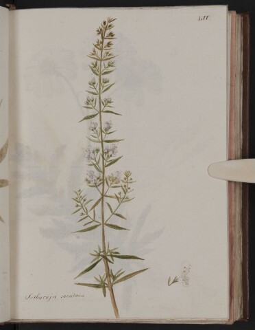 Anteprima dell'oggetto