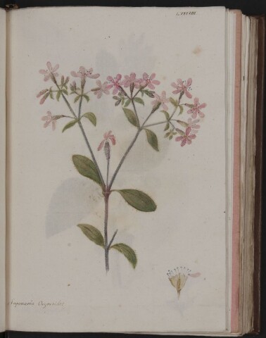 Anteprima dell'oggetto