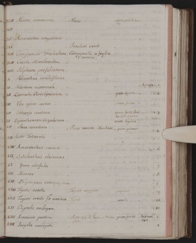 Anteprima dell'oggetto