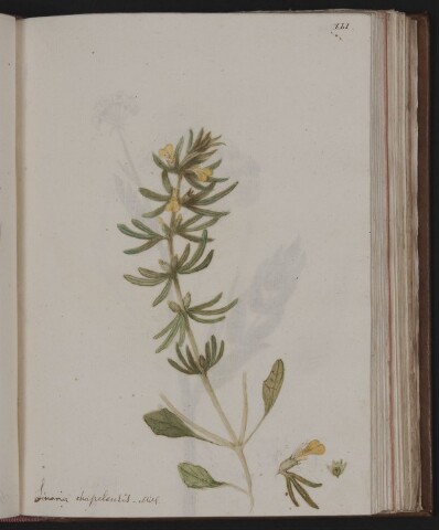 Anteprima dell'oggetto