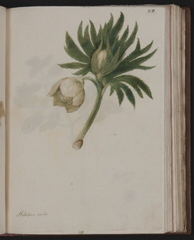 Anteprima dell'oggetto