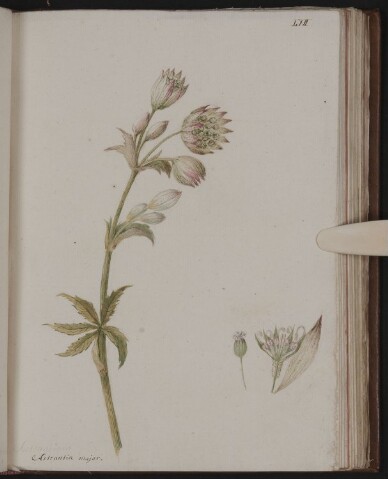 Anteprima dell'oggetto