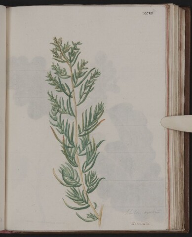 Anteprima dell'oggetto