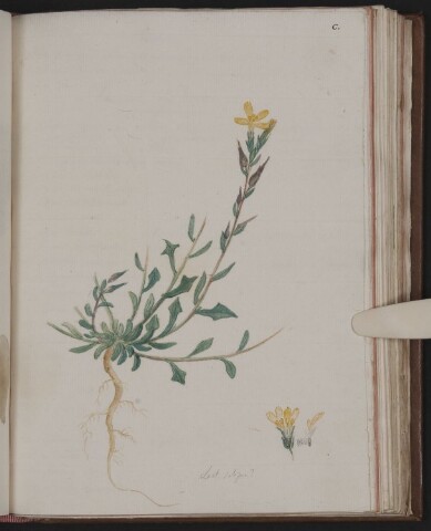 Anteprima dell'oggetto