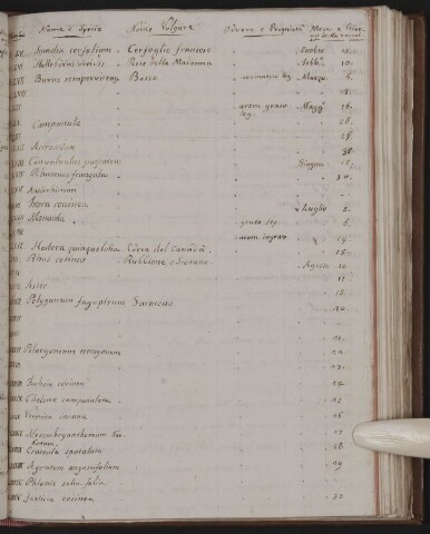 Anteprima dell'oggetto