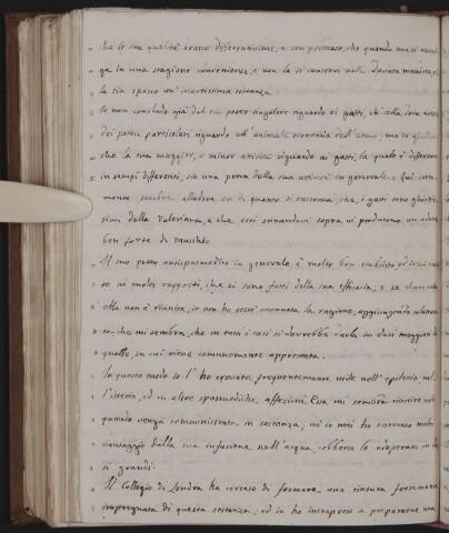 Anteprima dell'oggetto