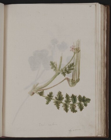 Anteprima dell'oggetto