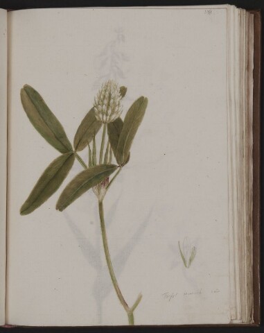 Anteprima dell'oggetto