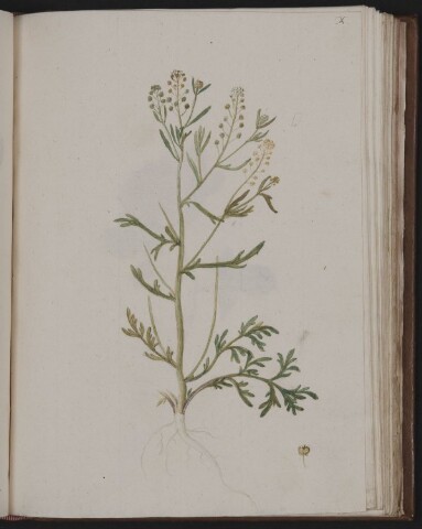 Anteprima dell'oggetto