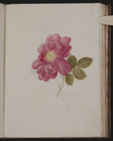 Anteprima dell'oggetto